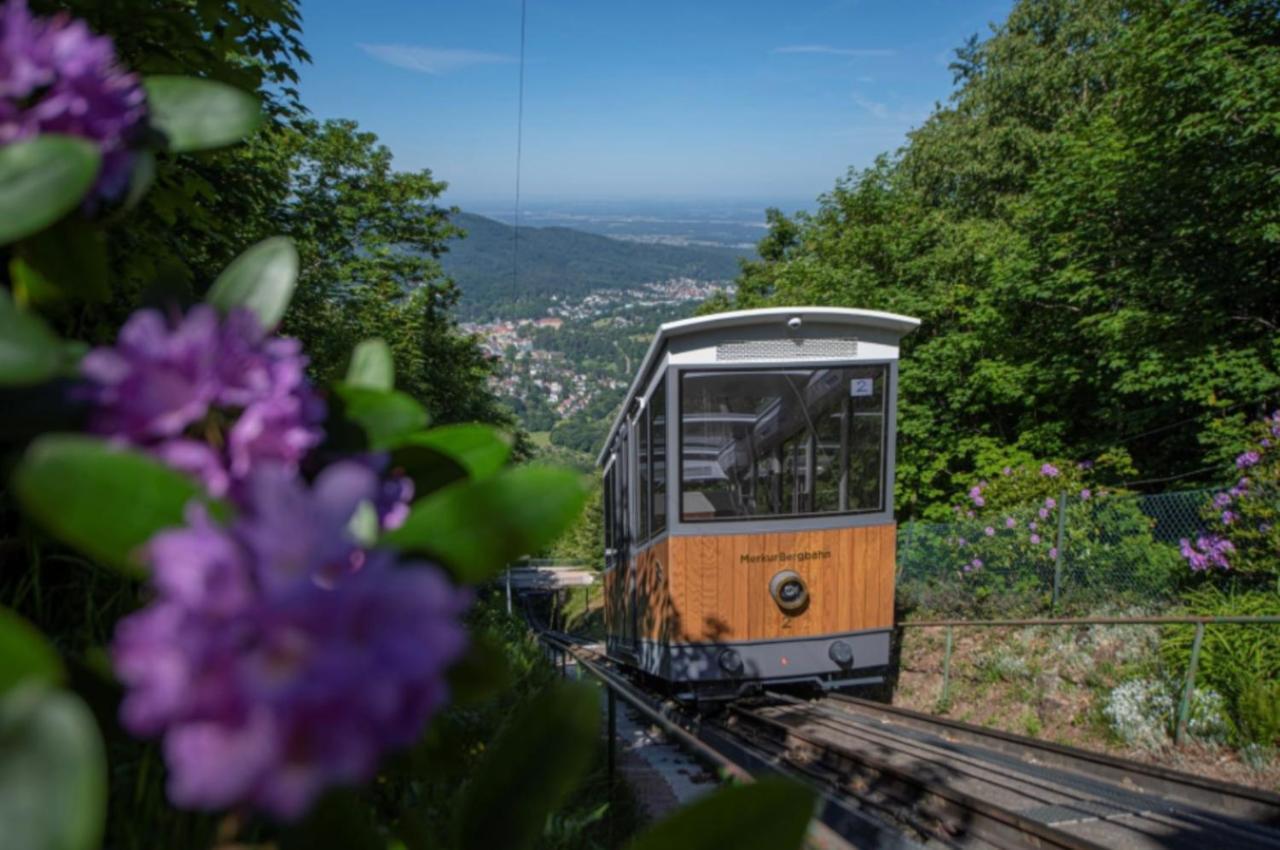 Luxus Apartment Am Fremersberg - Zentral - Mit Sauna & Badewanne Baden-Baden Buitenkant foto